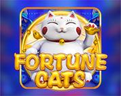 Fortune Cats